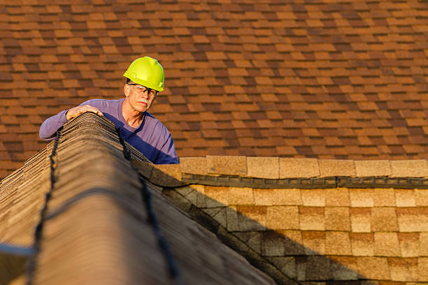 Roof Gutter Cleaning in Goodyear, AZ